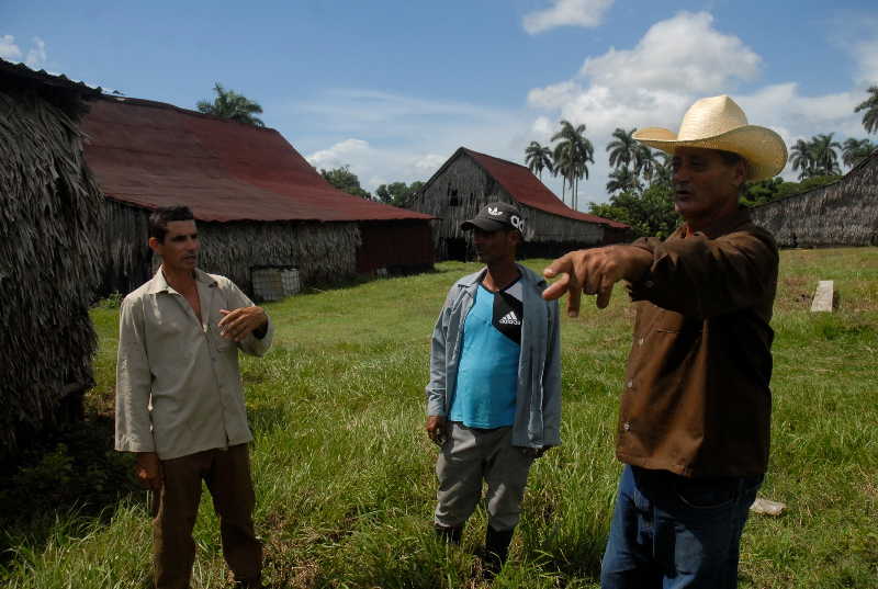 sancti spiritus, tabaco, cabaiguan vega de tabaco