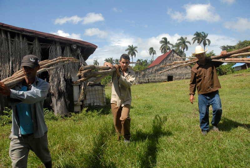 sancti spiritus, tabaco, cabaiguan vega de tabaco