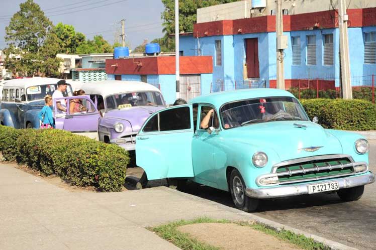 transporte, trabajo por cuenta propia