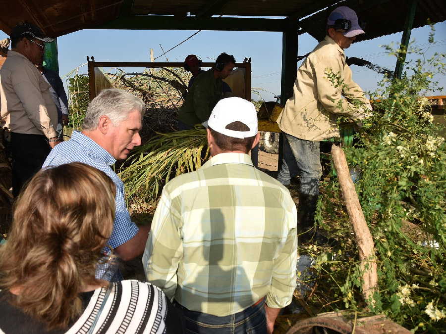 sancti Spíritus, presidente de cuba en sancti spiritus, miguel diaz-canel bermudez, la sierpe, sur del jibaro, empresa agroindustrial de granos