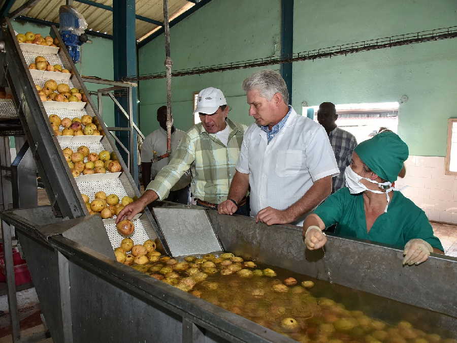 sancti Spíritus, presidente de cuba en sancti spiritus, miguel diaz-canel bermudez, la sierpe, sur del jibaro, empresa agroindustrial de granos