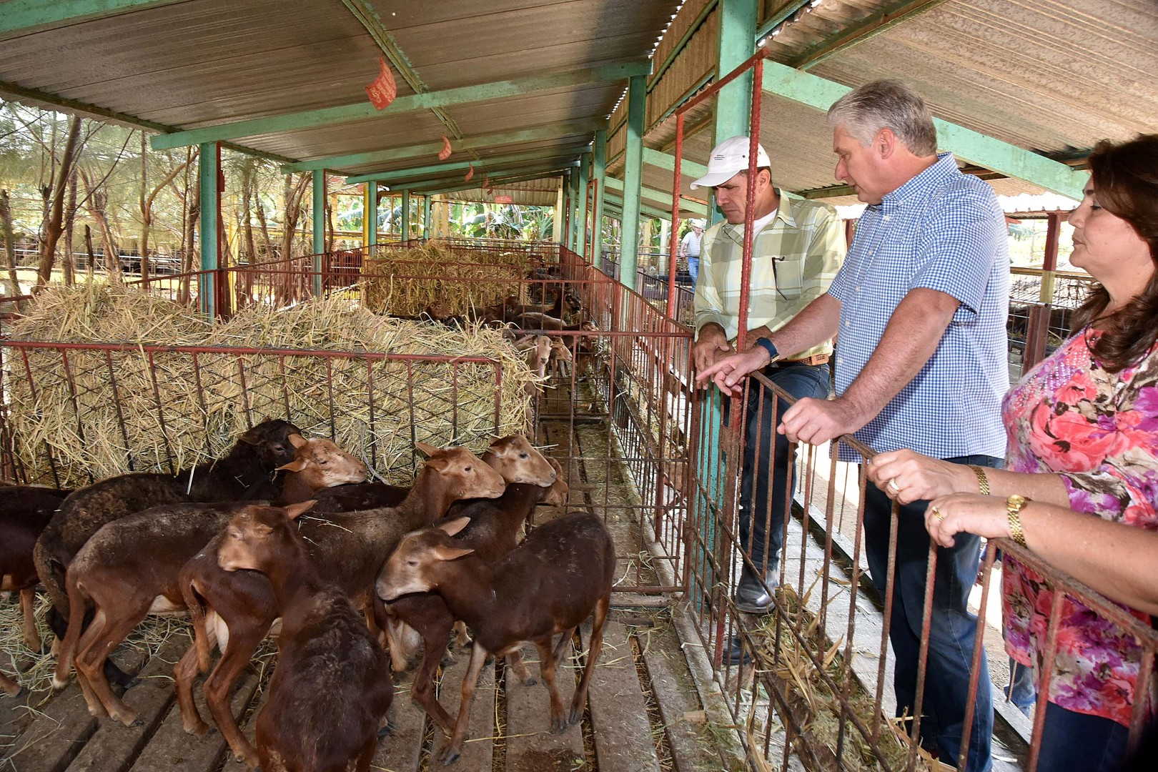 sancti Spíritus, presidente de cuba en sancti spiritus, miguel diaz-canel bermudez, la sierpe, sur del jibaro, empresa agroindustrial de granos