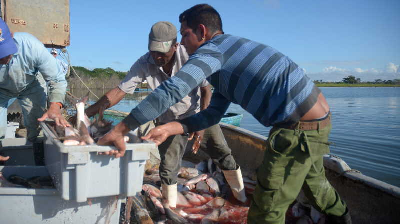 pesca, acuicultura, Sancti Spíritus