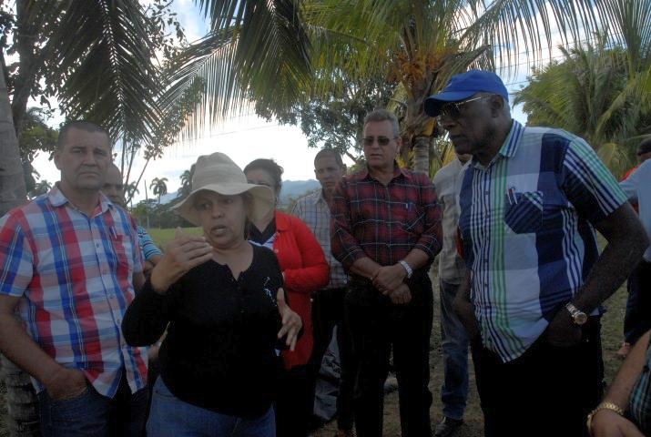 jatibonico, central uruguay, zafra azucarera, salvador valdes mesa, sancti spiritus, agricultura, produccion de alimentos, banao, mercados agropecuarios