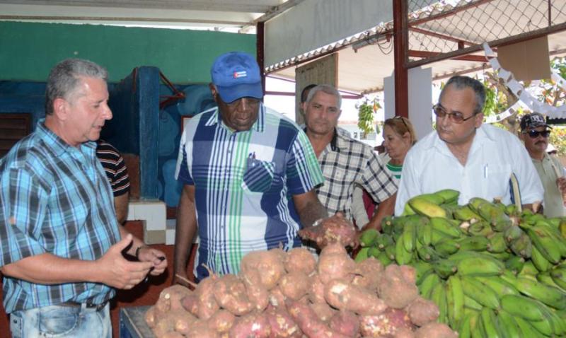 jatibonico, central uruguay, zafra azucarera, salvador valdes mesa, sancti spiritus, agricultura, produccion de alimentos, banao, mercados agropecuarios