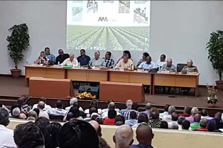 Díaz-Canel encabezó el debate realizado en el Ministerio de la Agricultura. (Foto: Twitter @MINAGCuba) 