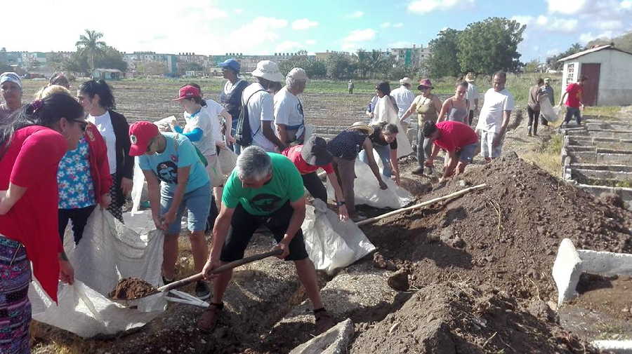 sancti spiritus, solidaridad con cuba, brasil, argentina, chile, trabajo voluntario, icap