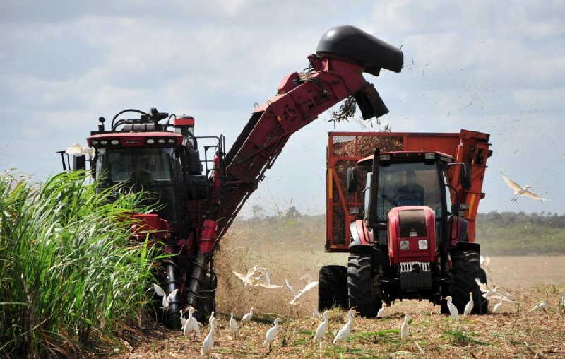 sancti spiritus, zafra azucarera, central uruguay