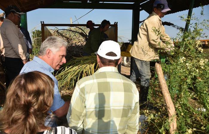 cuba, ministerio de la agricultura, agricultura, miguel diaz-canel, produccion de alimentos, presidente de cuba