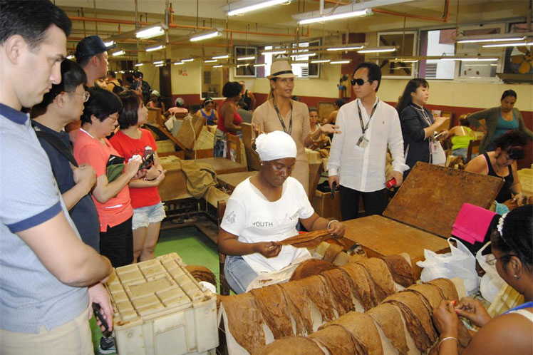 cuba, festival del habano