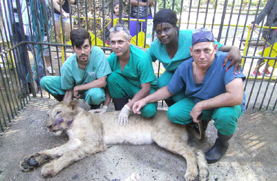 sancti spiritus, zoologico, el bosque, medicina veterinaria