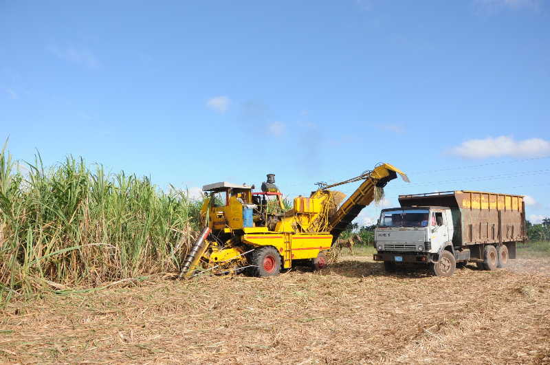 Para terminar la zafra en abril es preciso mejorar el abasto de caña y la molida. (Foto: José Luis Camellón / Escambray)