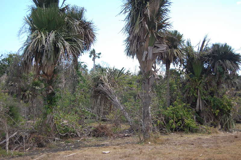 sancti spiritus, parque nacional caguanes