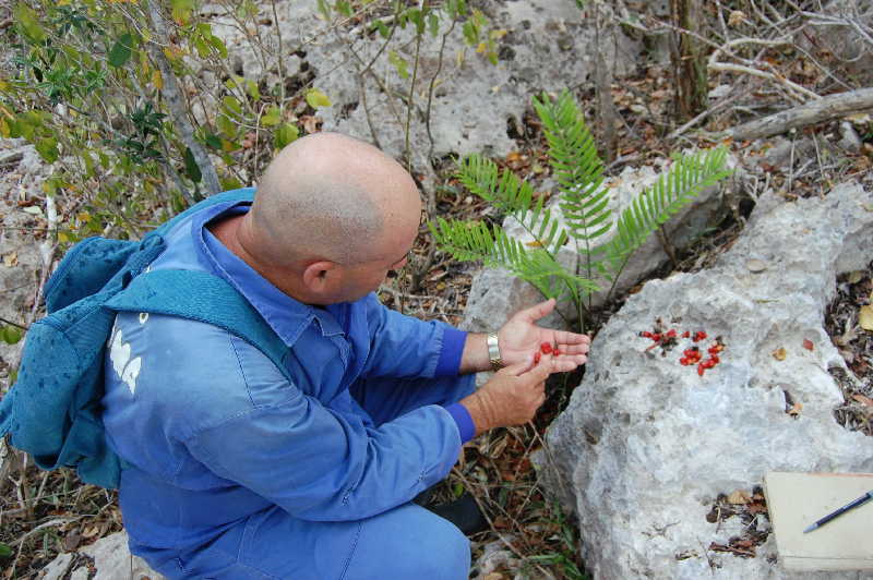 sancti spiritus, parque nacional caguanes