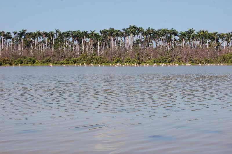 sancti spiritus, parque nacional caguanes