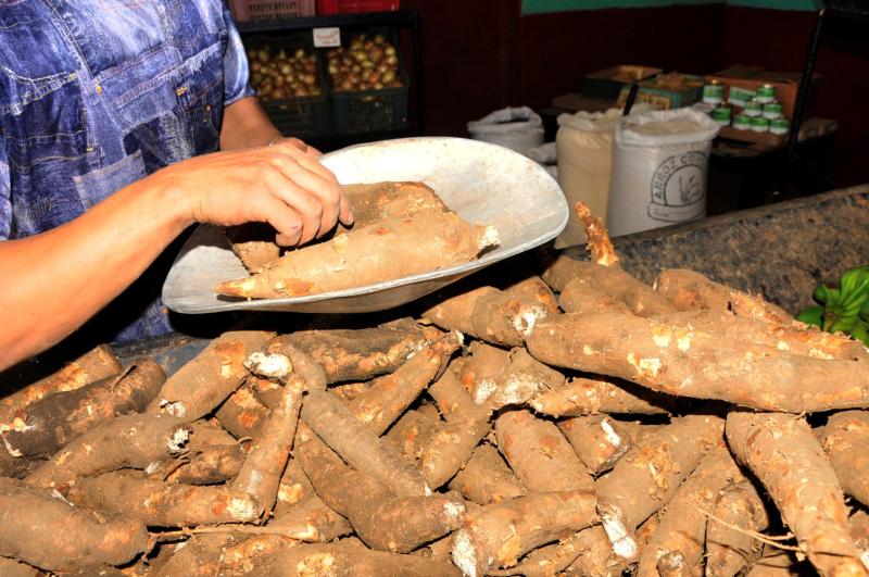 sancti spiritus, produccion de alimentos, agricultura, acopio, comercializacion, anap