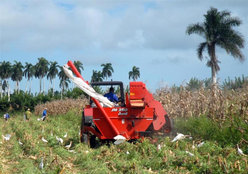 sancti spiritus, maiz, carne, sustitucion de importaciones