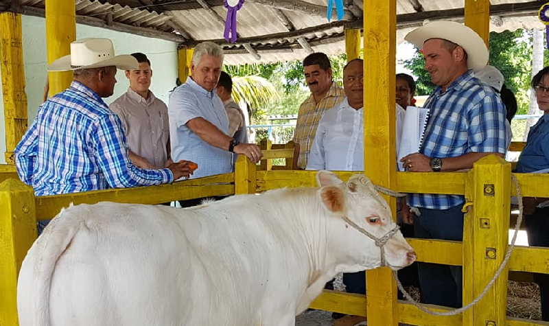 cuba, granma, miguel díaz-canel, presidente de cuba