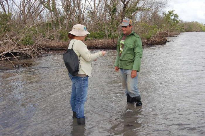 sancti spiritus, parque nacional caguanes, ecosistemas, huracan irma, yaguajay