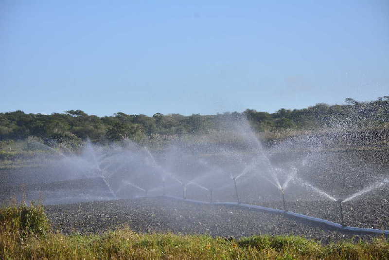 sancti spiritus, agricultura, produccion de alimentos, campesinos