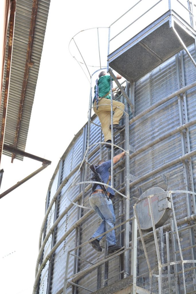 Una Brigada de Producción y Defensa protagonizó cumplió su misión en esta fecha.