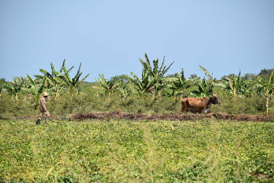 sancti spiritus, citma, rio agabama