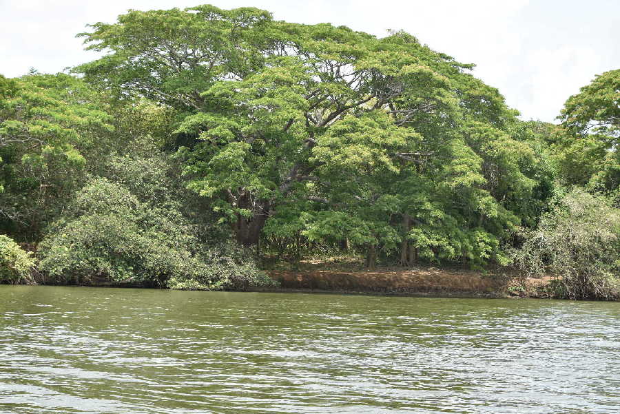 sancti spiritus, citma, rio agabama