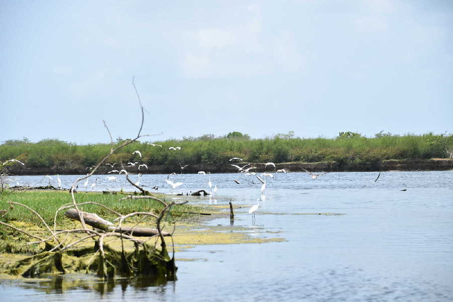 sancti spiritus, citma, rio agabama