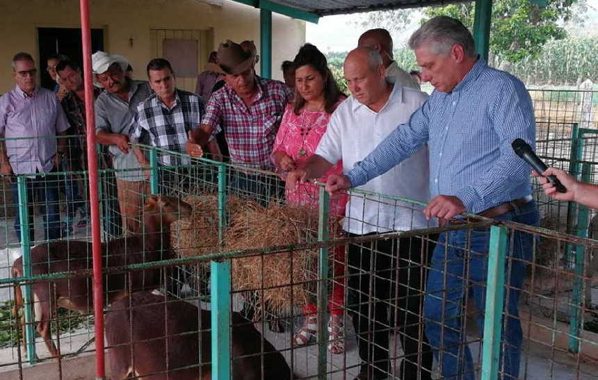 camagüey, miguel diaz-canel, presidente de cuba