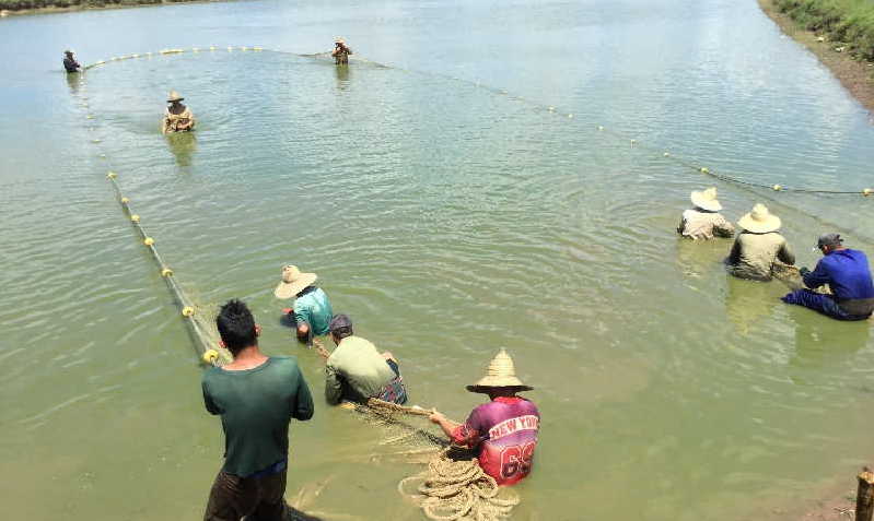 sancti spiritus, pesca, acuicultura, estacion de alevinaje de la sierpe