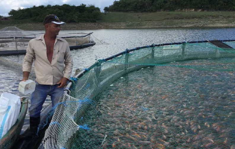 sancti spiritus, pesca, acuicultura, estacion de alevinaje de la sierpe