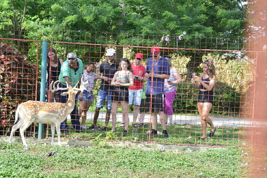 sancti spiritus, verano, etapa estival, flora y fauna, yaguajay, rancho querete