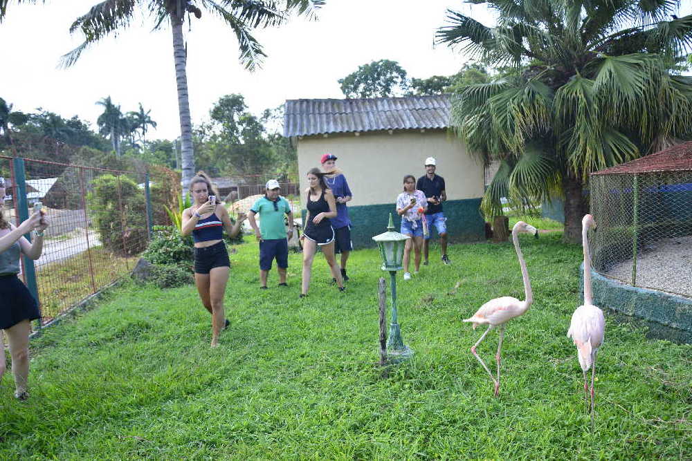 sancti spiritus, verano, etapa estival, flora y fauna, yaguajay, rancho querete