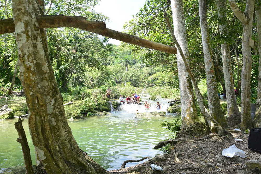 sancti spiritus, verano, etapa estival, flora y fauna, yaguajay, rancho querete