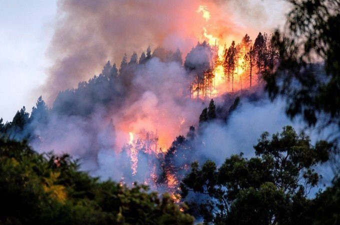 Más de la mitad de los cerca de 71 mil 500 incendios reportados en Brasil este año se situó en la región amazónica.