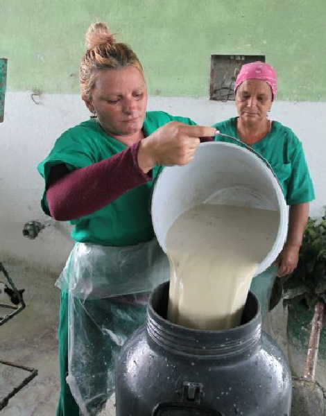 sancti spiritus, ganaderia, managuaco, dos rios, federacion de mujeres cubanas. fmc