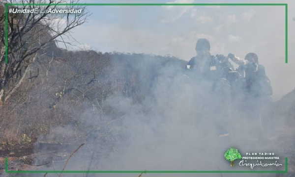 bolivia, evo morales, incendios