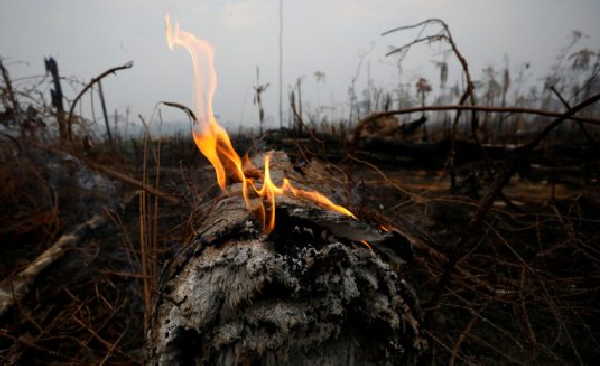 brasil, amazonia, incendios, g-7