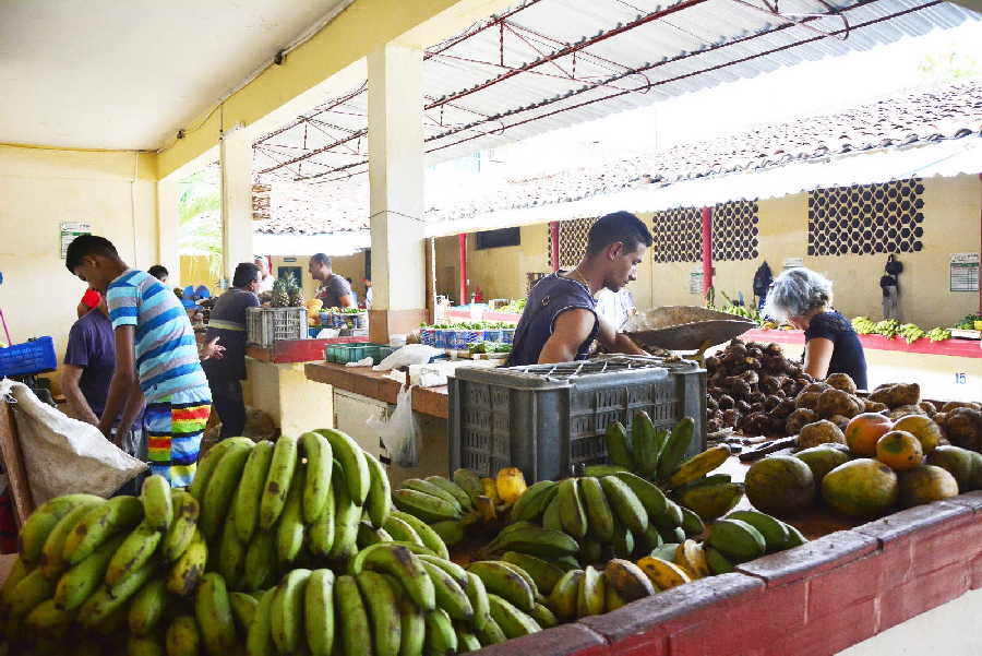 sancti spiritus, precios, alimentos precios, consejo de la administracion provincial, sector no estatal, trabajadores por cuenta propia, transporte