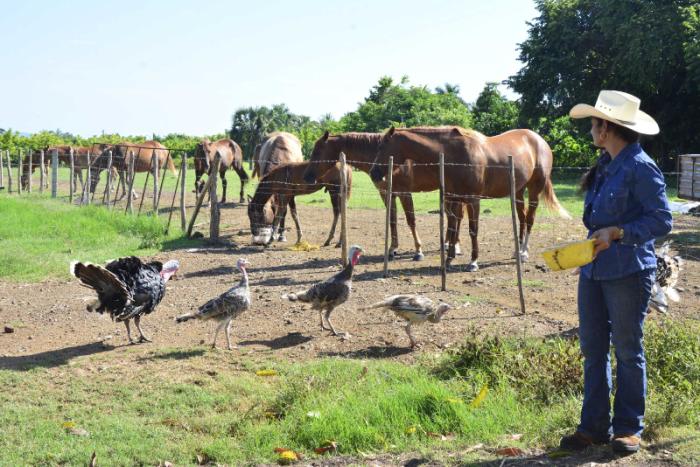 sancti spiritus, mujeres, caballos de raza, vaquera, rodeo cubano