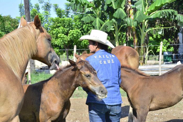 sancti spiritus, mujeres, caballos de raza, vaquera, rodeo cubano