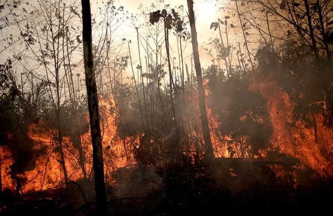 brasil, incendios, amazonia, canciller cubano, bruno rodriguez parrilla