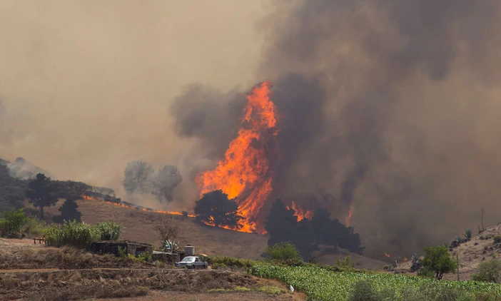 españa, islas canarias, incendio, bomberos