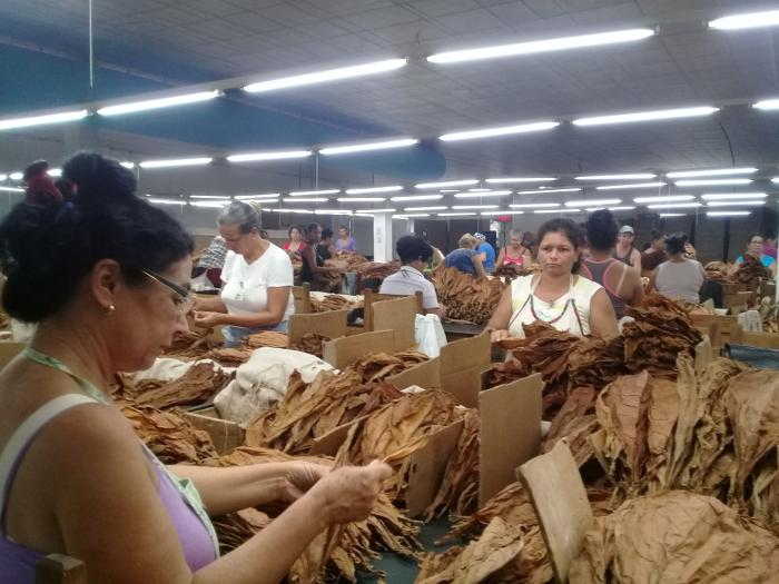 cuba, fmc, miguel diaz-canel, federeacion de mujeres cubanas