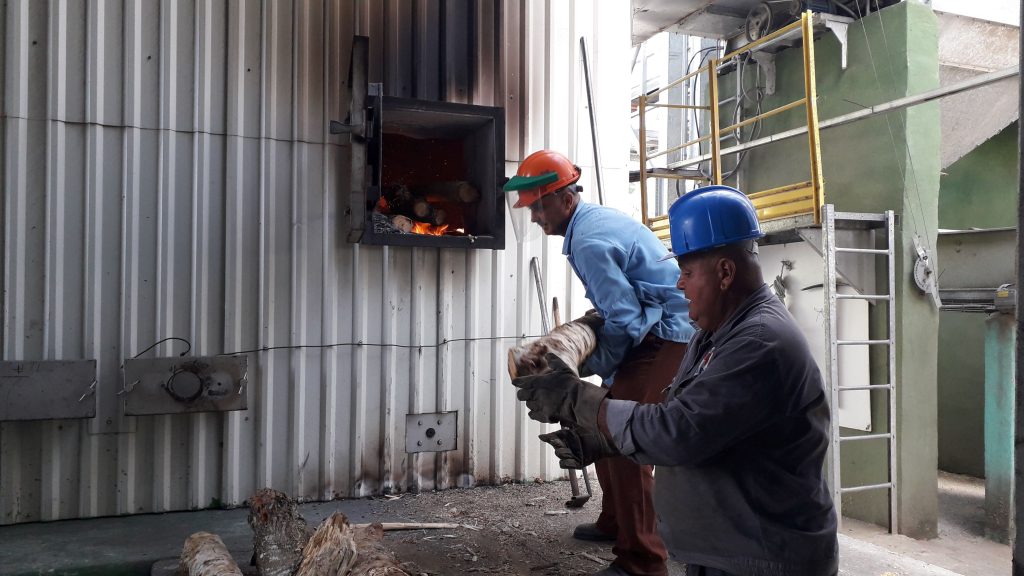 La Planta acude al uso de la leña como una de las alternativas para el ahorro energético. (Fotos: Greidy Mejías Cárdenas / Escambray)