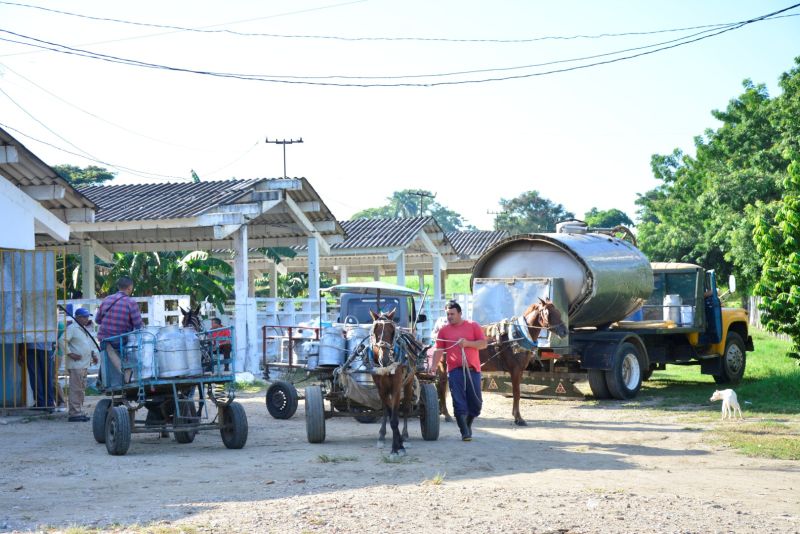 acopio de leche en sancti spiritus (1)