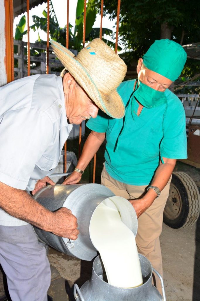 acopio de leche en sancti spiritus (3)