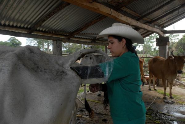 sancti spiritus, mujeres, produccion agricola, anap, cooperativas de produccion agropecuaria