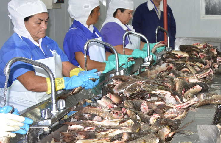 sancti spiritus, federacion de mujeres cubanas, fmc, vilma espin