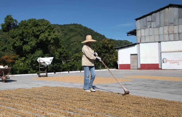 sancti spiritus, mujeres, produccion agricola, anap, cooperativas de produccion agropecuaria